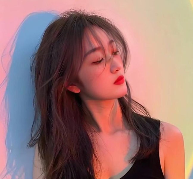 猪一样的女子 封面