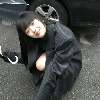 狗果定理 封面